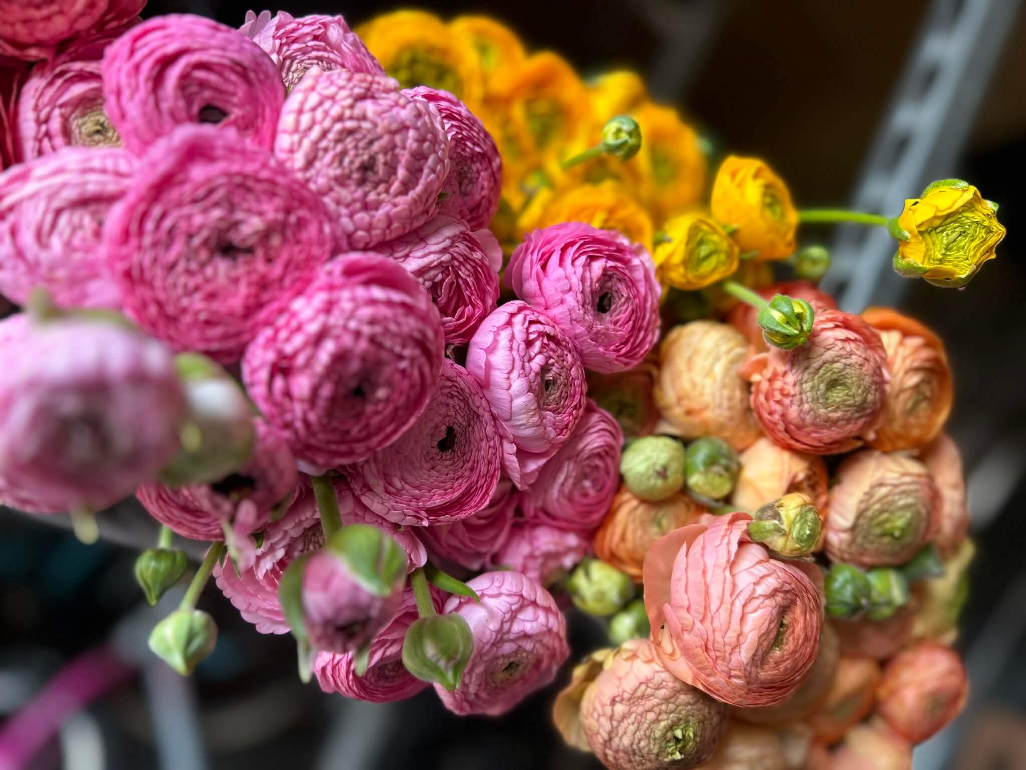 Aranjament floral premium 1