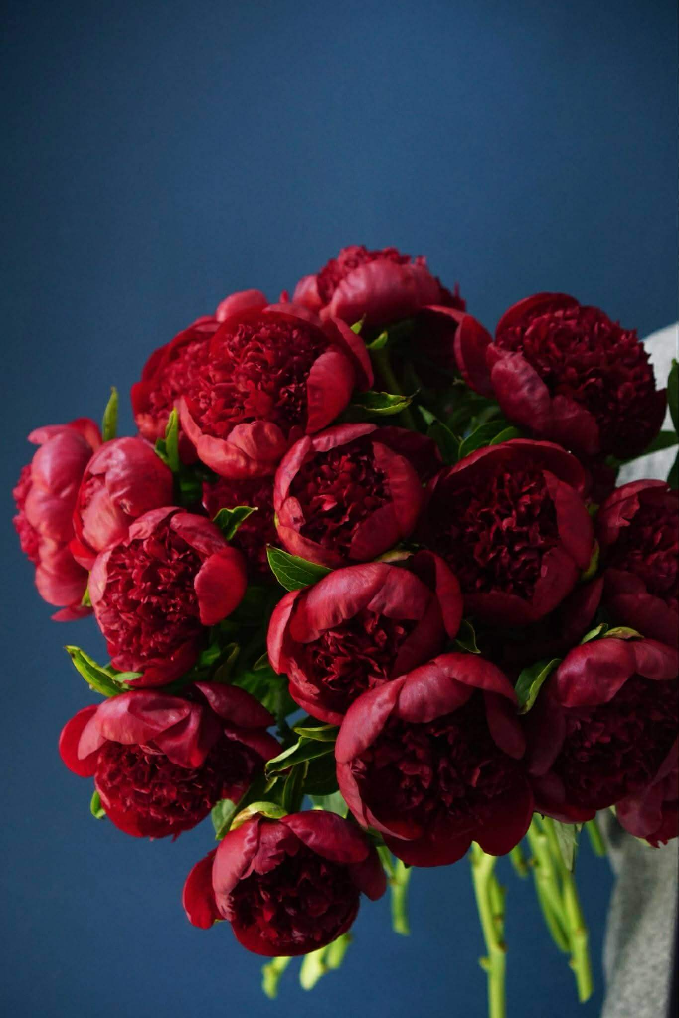 Aranjament floral premium 7