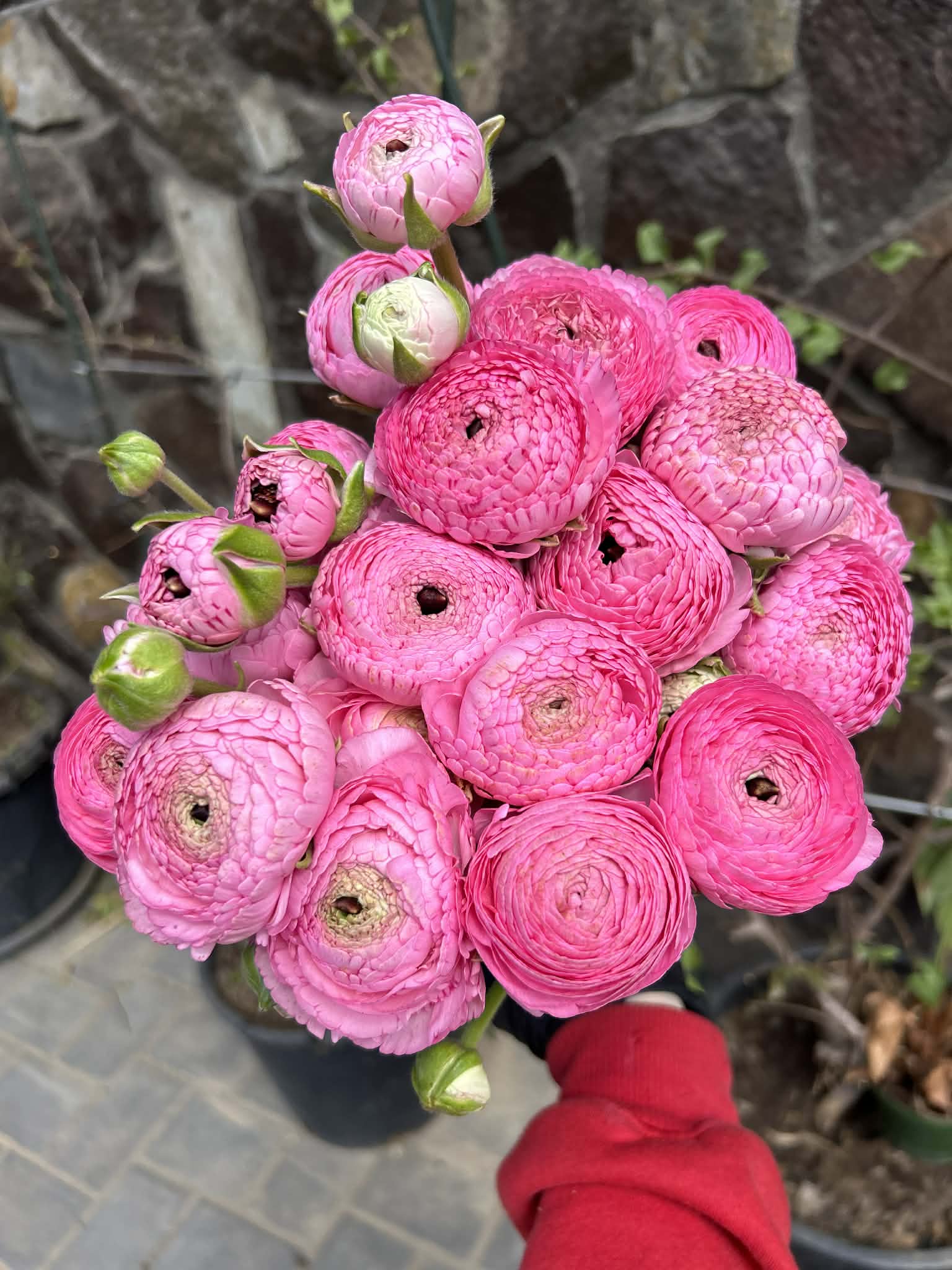 Aranjament floral premium 3