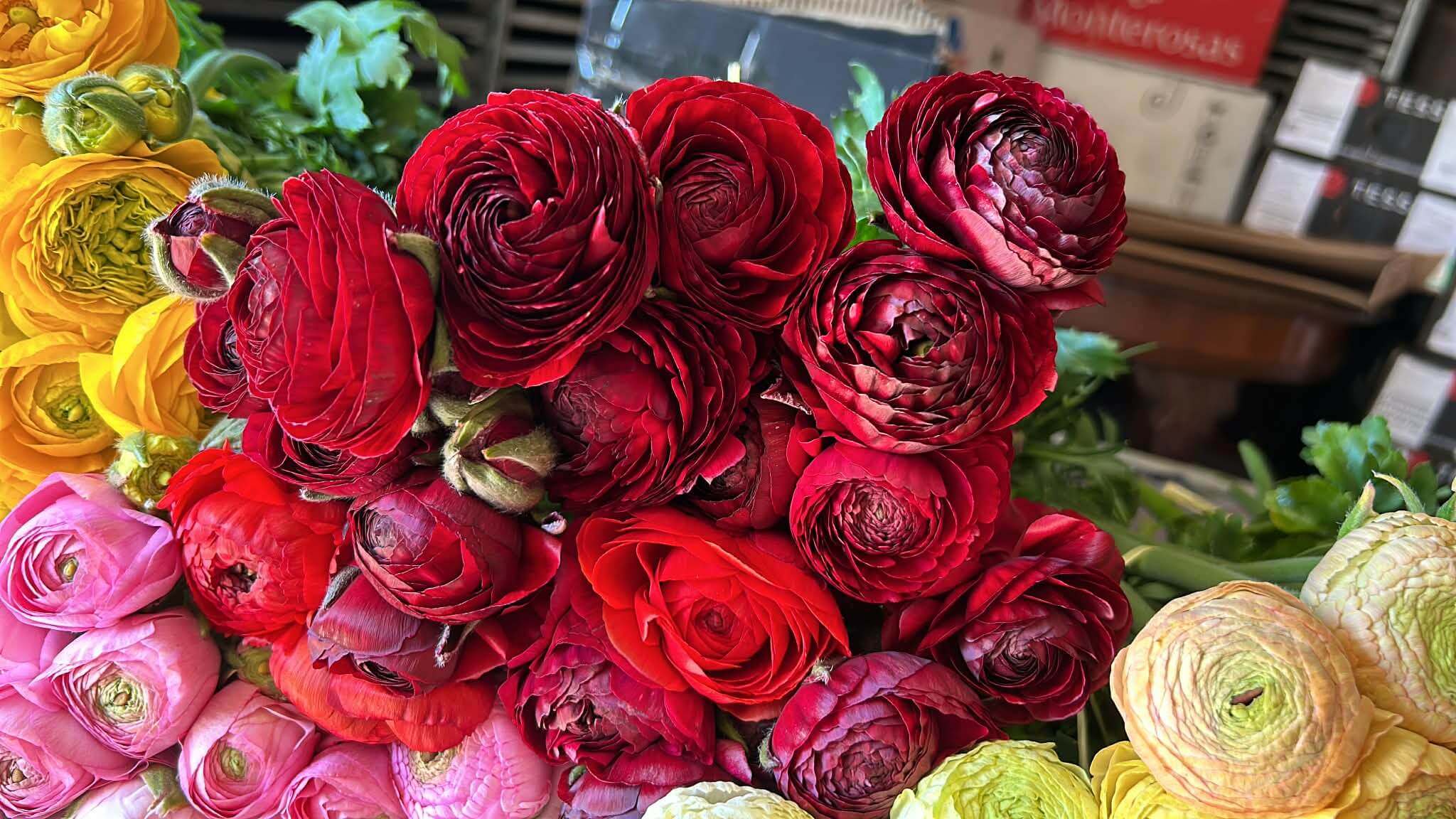 Aranjament floral premium 2