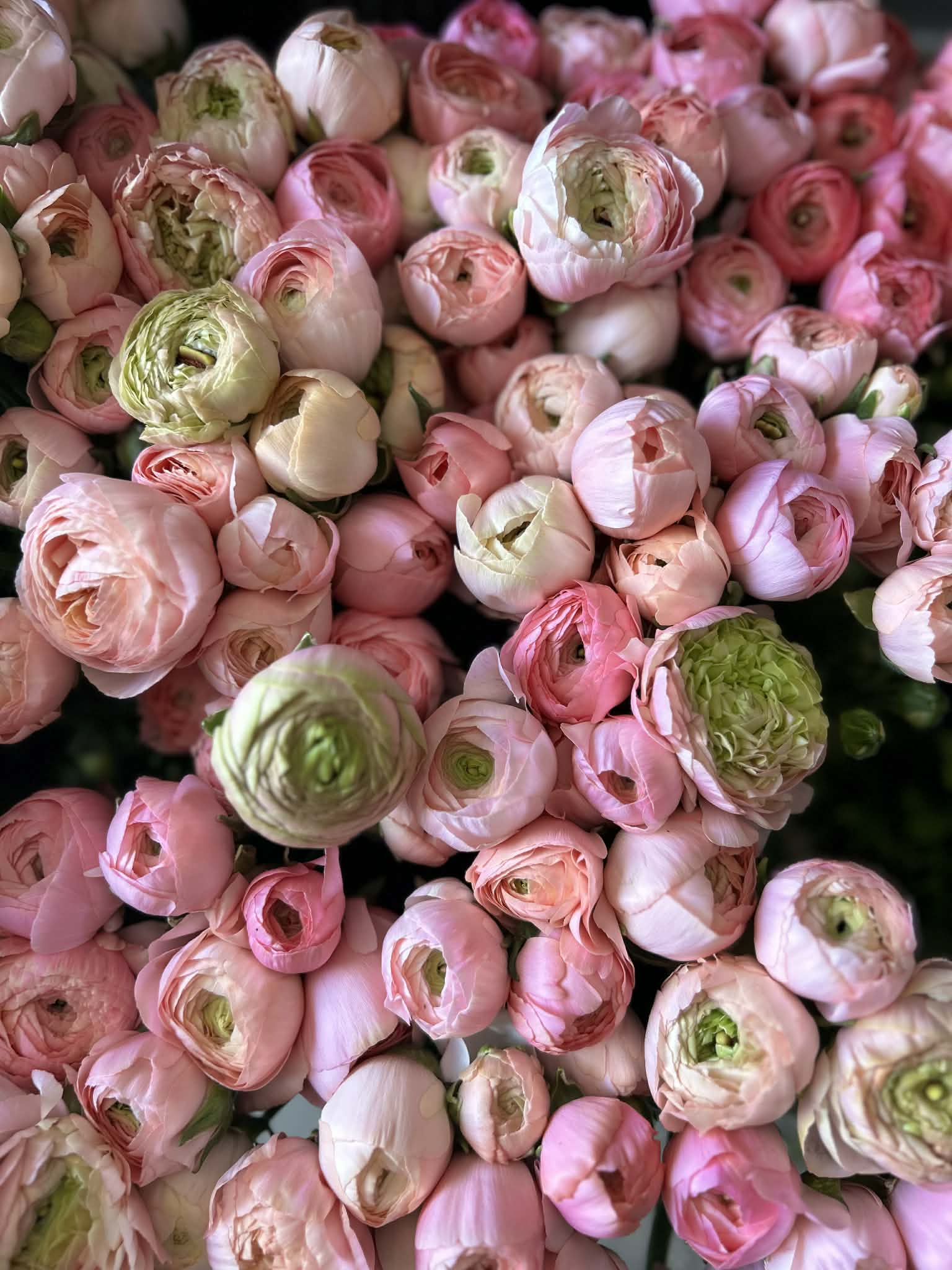 Aranjament floral premium 6