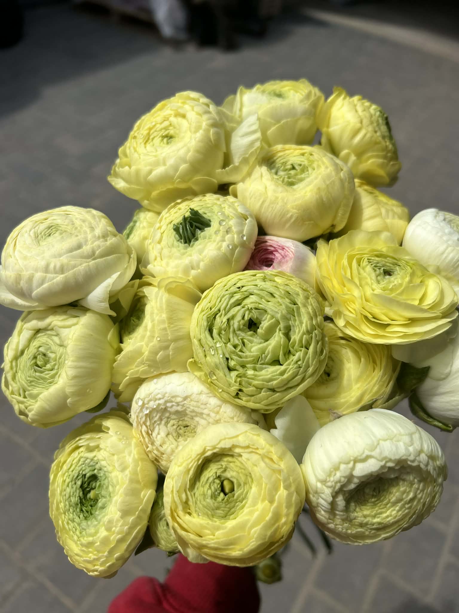 Aranjament floral premium 9