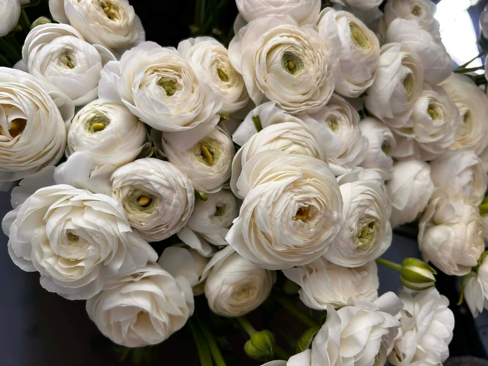 Aranjament floral premium 11